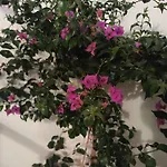 Bed & Breakfast Feel - Boutique With Terrace In 3*