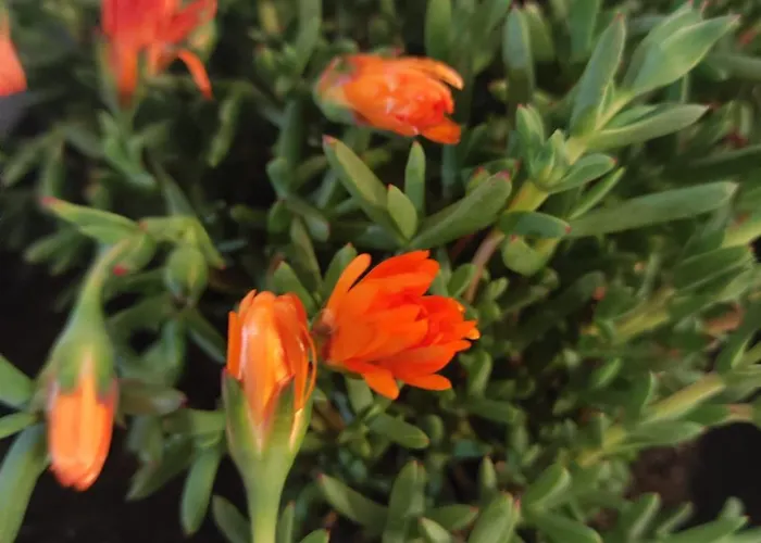 Bed & Breakfast Feel - Boutique With Terrace In Distretto di Faro